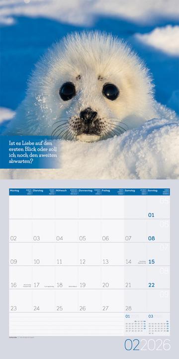 Produktbild Keep Smiling! Kalender 2026 - 30x30 (30 x 30 cm, Deutsch, Englisch, Französisch)