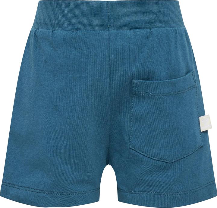 Image du produit hummel Hmldream Shorts (62)