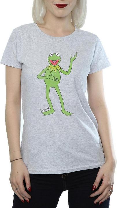 Actual product image Gildan Womens/Ladies Classic Kermit Heather T-Shirt (XS)