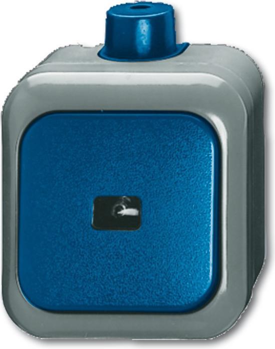 Actual product image Busch-Jaeger Rocker switch