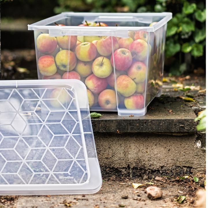 Produktbild Rotho Evo Easy (58.5 x 39.5 x 28 cm, 44 l)