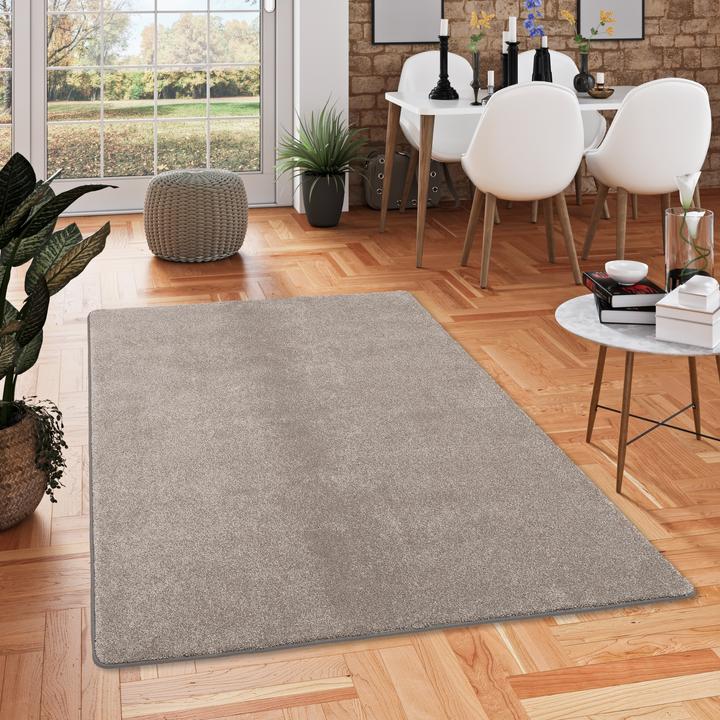 Produktbild Snapstyle Hochflor Luxus Velours Teppich Touch (100 x 300 cm)