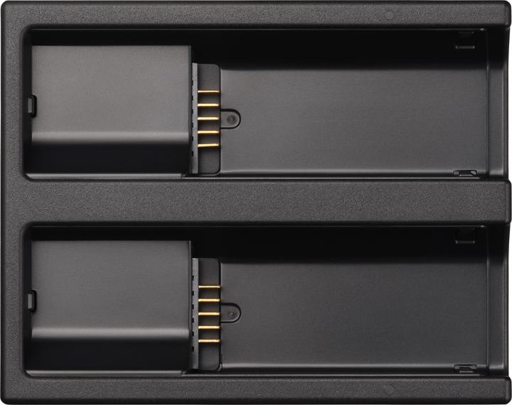 Actual product image Sigma Akkuladegerät BC-81 (BF)