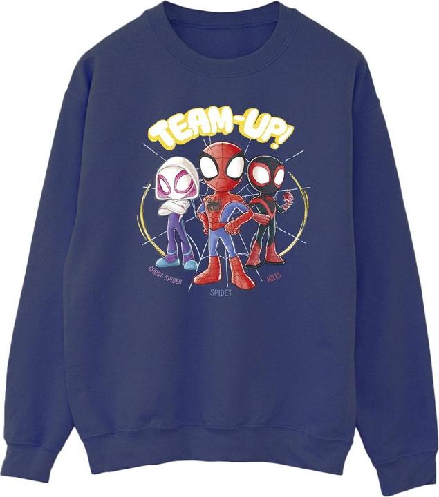 Produktbild Spidey And His Amazing Friends Sketch Sweatshirt (XXL)