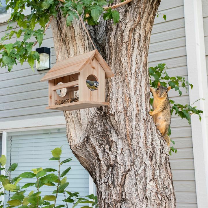 Image du produit Relaxdays Mangeoire pour oiseaux