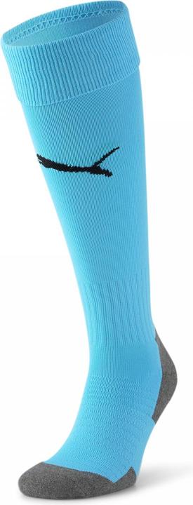 Actual product image Puma Team LIGA Socks CORE-703441 (35, 38)