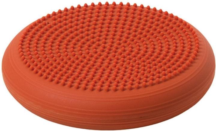 Togu Dynair® Senso® Ballkissen®, Terra, 36.0000 cm