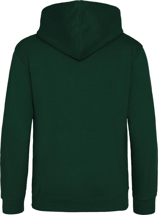 Actual product image Awdis Hooded jumper (146)