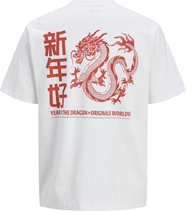 Immagine prodotto Jack & Jones Jorsnake Tee Ss Crew Neck Tg Ln (XL)