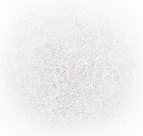 Actual product image Annemarie Börlind Blue Light Protec (100 ml)