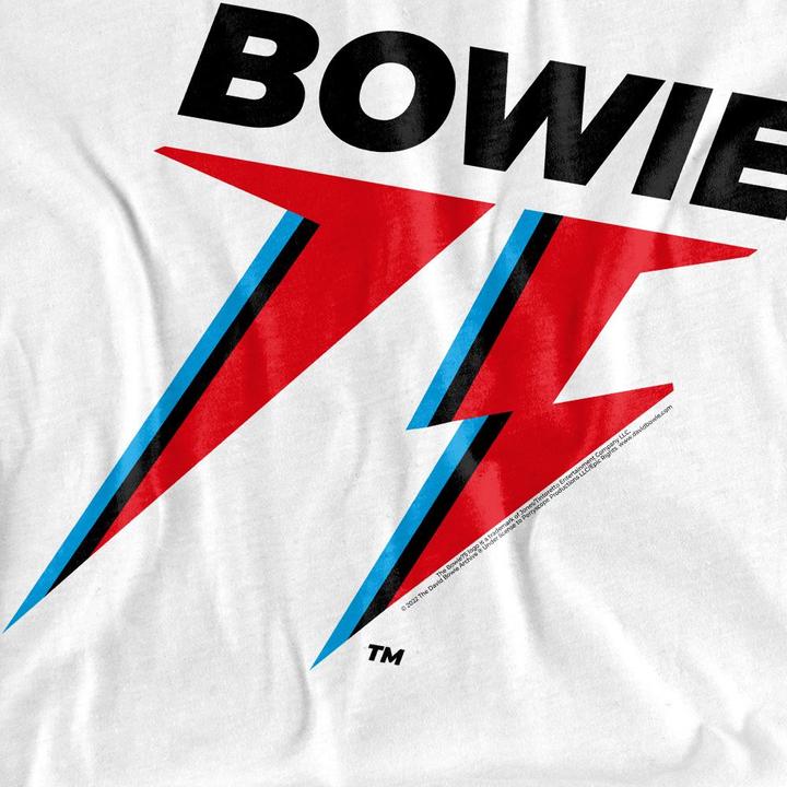 Actual product image David Bowie Mens 75 Logo T-Shirt (4XL)
