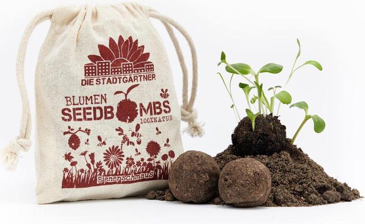 Produktbild Die Stadtgärtner Samenbomben Bienenschmaus (Blumensamen)