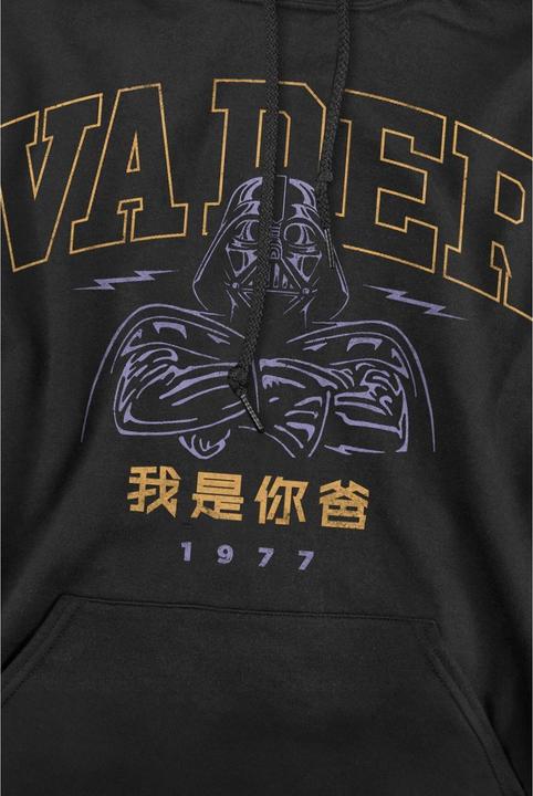 Produktbild Star Wars 77 Kapuzenpullover (L)