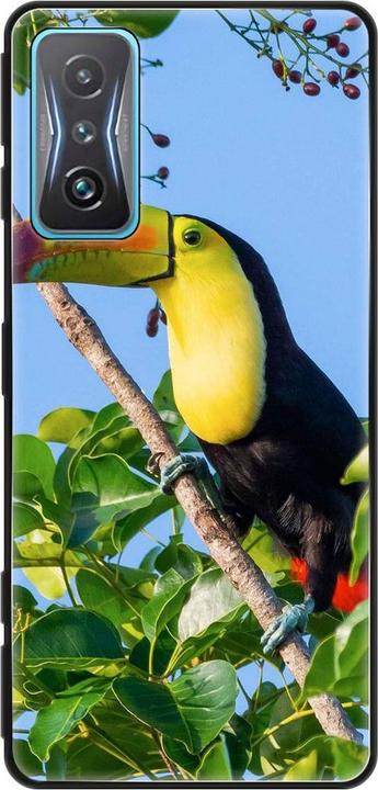 Tucan