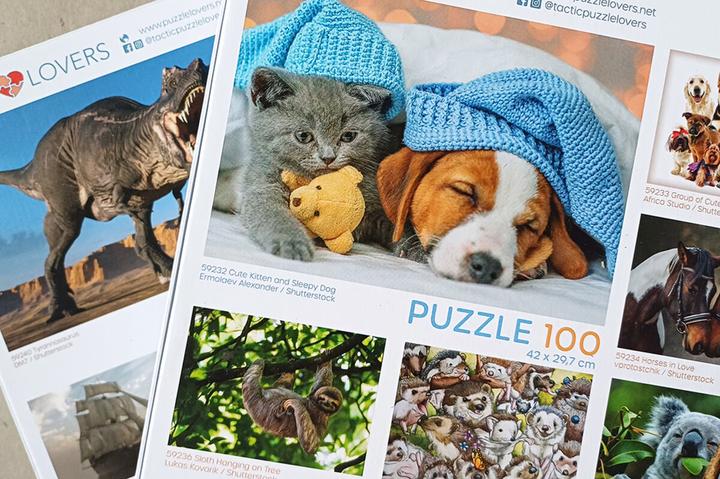 Image du produit Selecta Spielzeug Puzzle Gentil chaton et chien endormi, 100 pièces. (100 pièces)