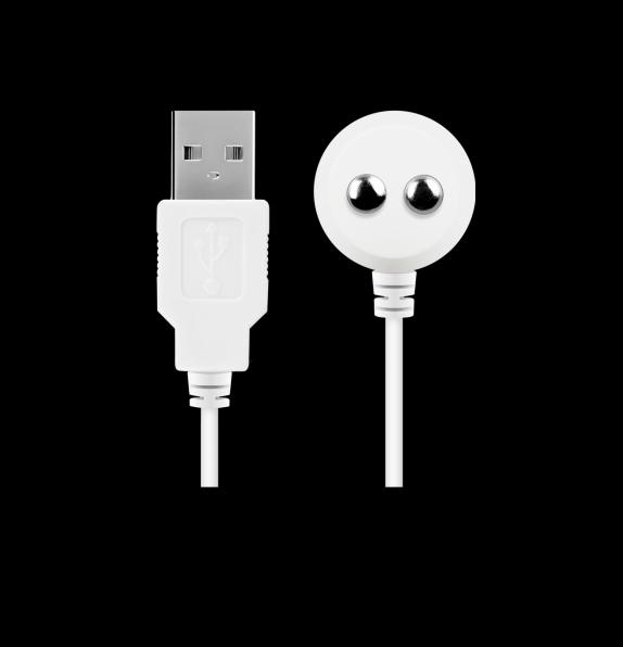 Actual product image Satisfyer Charging cable