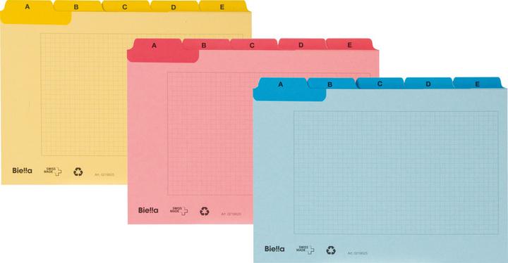 Actual product image Biella Index guide cards A7 (A7, 450 g/m², 25 x)