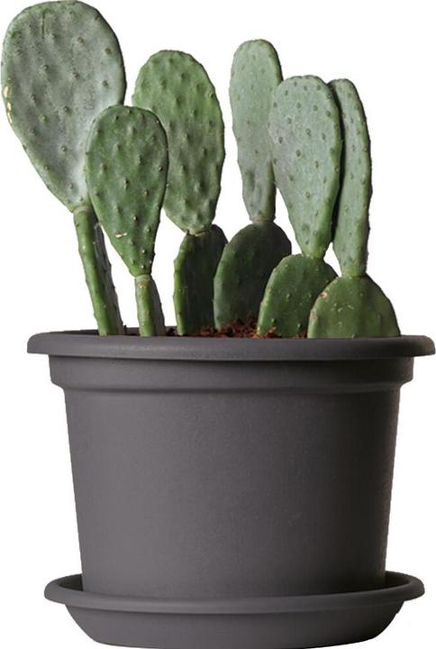 Actual product image Euro3plast Planter (30 cm)