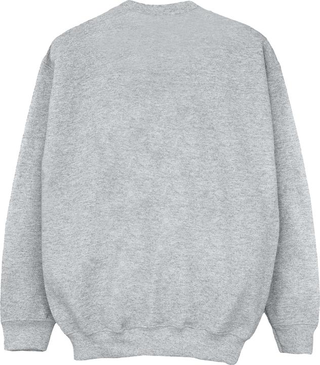 Image du produit Elf - Sweat SANTA'S COMING - Femme (XXL)