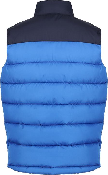 Actual product image Regatta Mens Vintage Colour Block Gilet (XL)