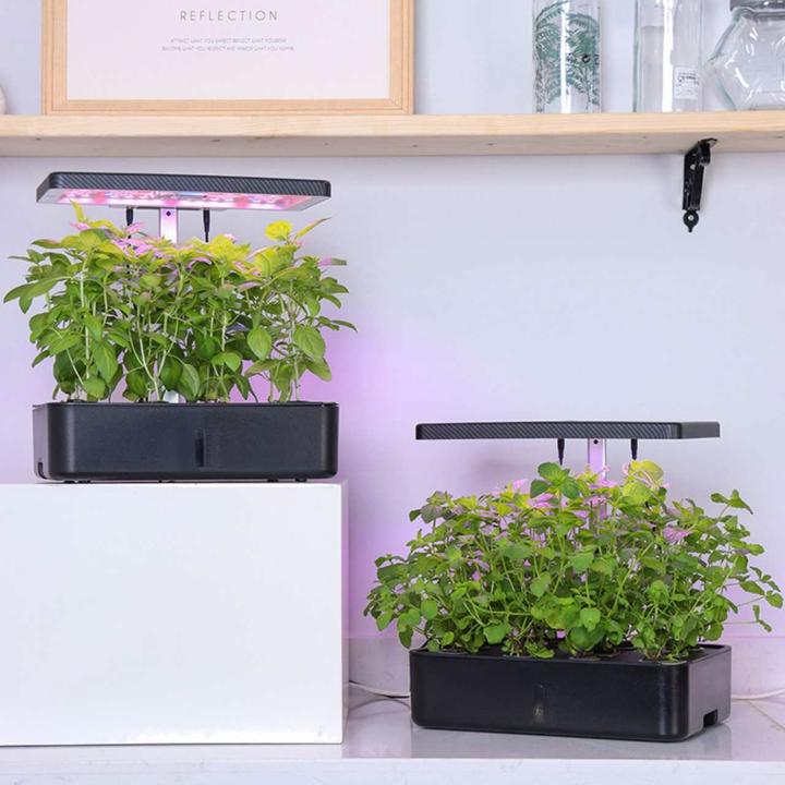 Image du produit Litrax LX202 - ROBIN jardin de salades