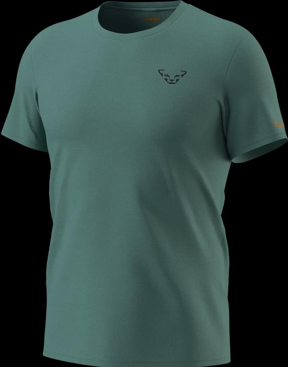 Actual product image Dynafit 24/7 Graphic T-Shirt (M)