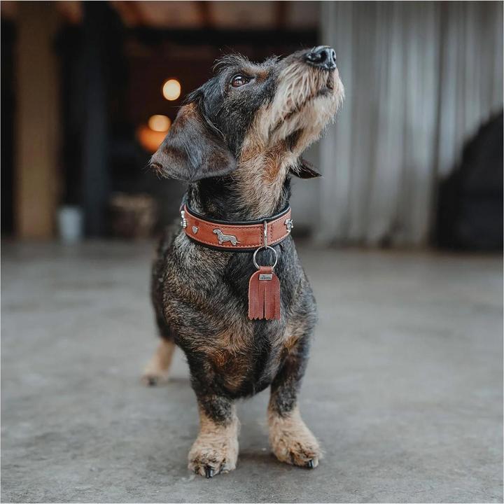 Immagine prodotto Hunter Collare bassotto Monaco 37/XS-S, pelle di vacchetta (37, Cane, Generale)