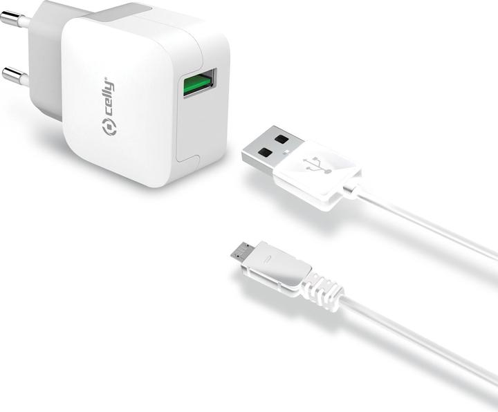Actual product image Celly Wall Charger