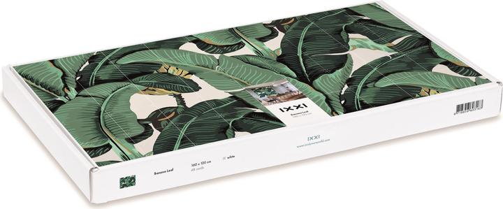 Produktbild Ixxi Banana Leaf (80 x 100 cm)