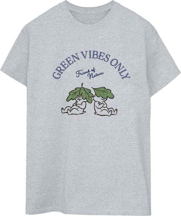 Immagine prodotto Disney Chip 'n Dale Green Vibes Only Maglietta Ampia Donna (M)