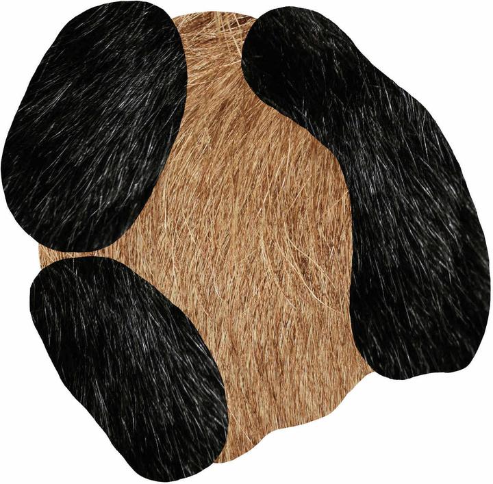 Image du produit Moooi Bearded Leopard Tapis (206 x 249 cm)