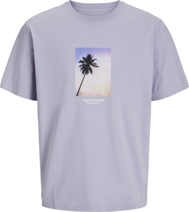 Produktbild Jack & Jones Jorvesterbro Picture Tee Ss Crew Neck Sn (XL)
