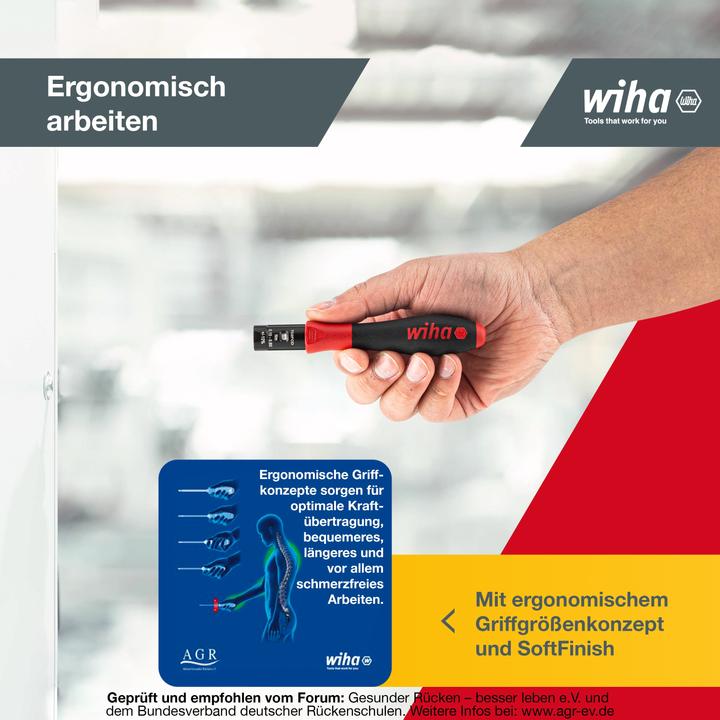 Actual product image Wiha TorqueVario-S (Allen screw)