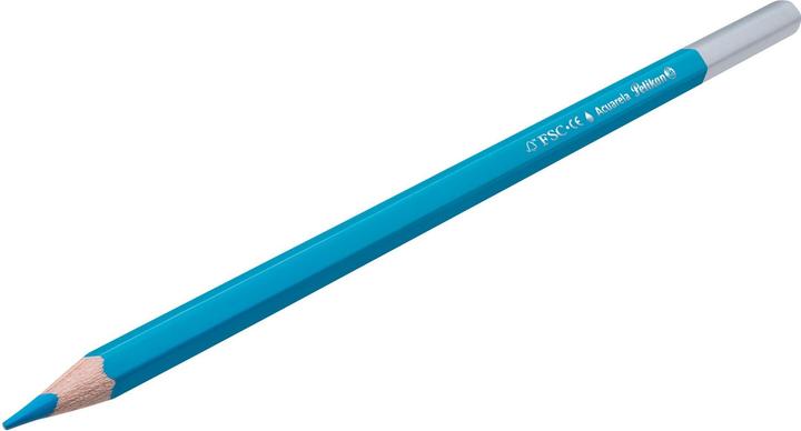Image du produit Pelikan Crayons de couleur Aquarelle (Orange, Jaune, Couleur de peau, Violet, Vert foncé, Pink, Noir, Rouge, Vert clair, Marron, Bleu foncé, Bleu clair, 12 x)