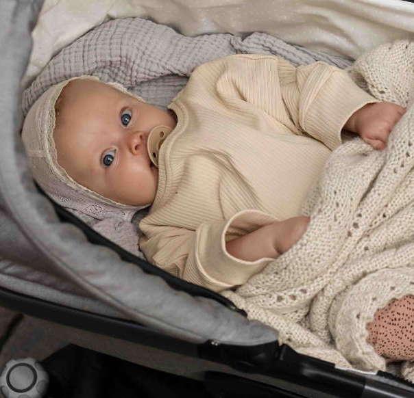 Produktbild Naturkind Kinderwagen Lux Evo mit HB Sand