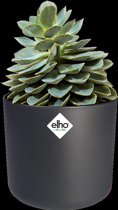 Immagine prodotto Elho b.for soft (18.30 cm)