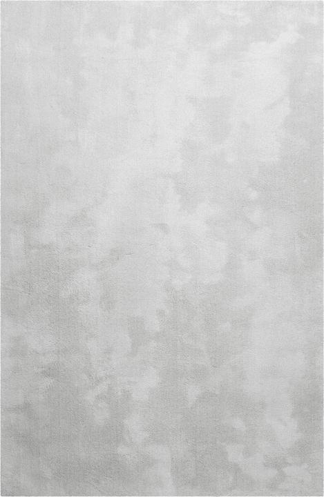 Grigio chiaro