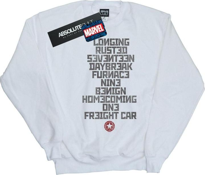 Image du produit - Sweat WINTER SOLDIER TRIGGER WORDS - Homme (XL)