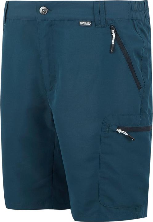 Actual product image Regatta Mens Leesville III Shorts (52 D)