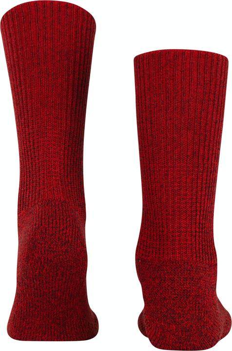 Actual product image Falke Walkie Ergo (Single pack, 37 - 38)