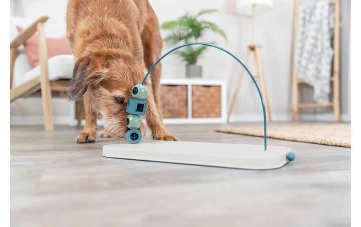 Produktbild Trixie Skills Loop (Beschäftigungsspielzeug Hund)