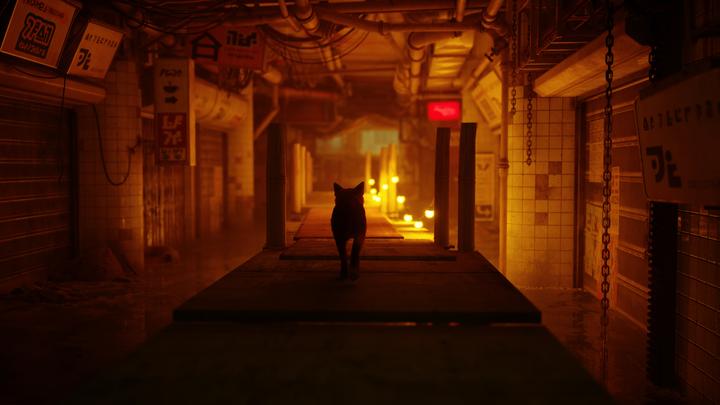 Actual product image Annapurna Interactive Stray (PS5, EN)