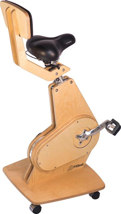 Actual product image FitSeat Professional desk bike
