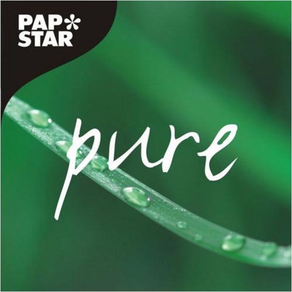 Actual product image Papstar Palm leaf (25 x)