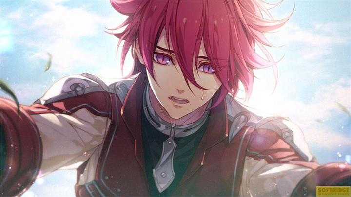 Produktbild Aksys Game Radiant Tale SWITCH (Switch, Switch Lite, Switch OLED)