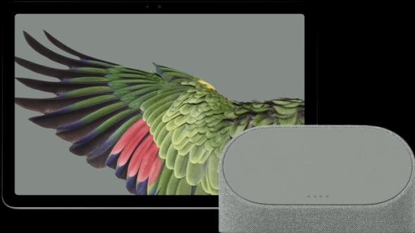 Google Pixel EU (nur WLAN, 10.95", 256 GB, Hazel)