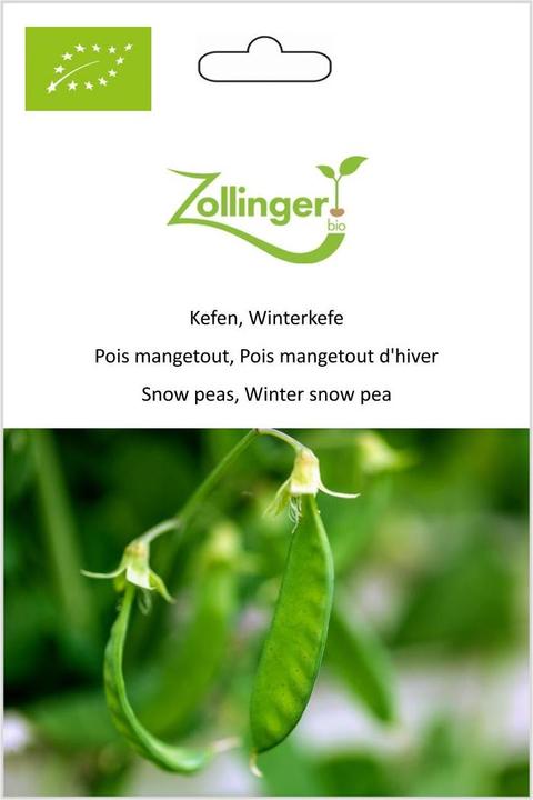 Immagine prodotto Zollinger Bio Kefen, Kefen invernale (Germogli)