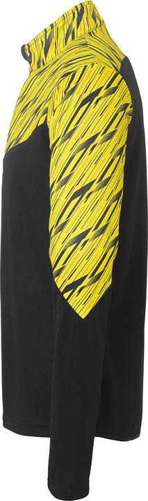 Actual product image Uhlsport 1/4 ZIP TOP Progressive 28 (M)