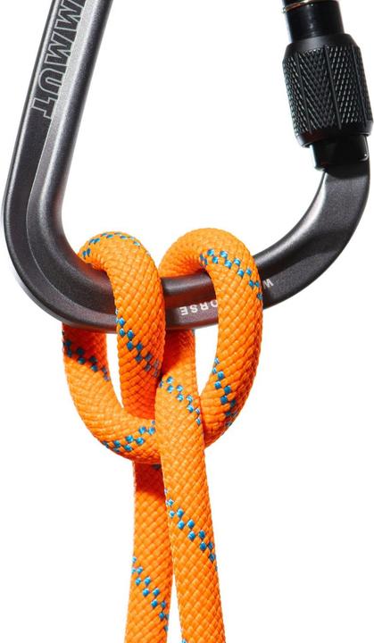 Immagine prodotto Mammut 8.7 Trasmettitore alpino a secco (70 m)
