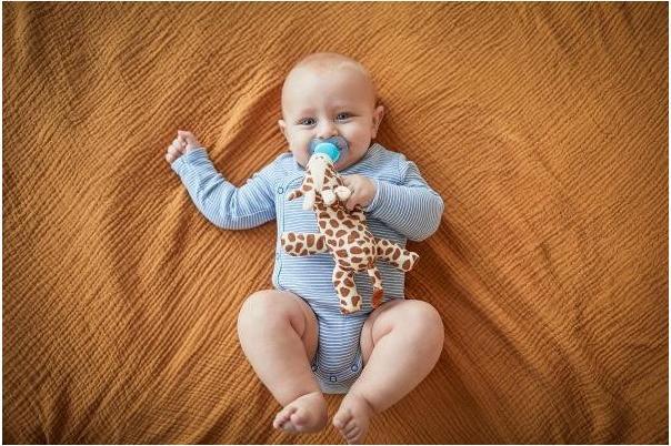 Produktbild Philips Avent Snuggle Giraffe (1 x, ab Geburt)